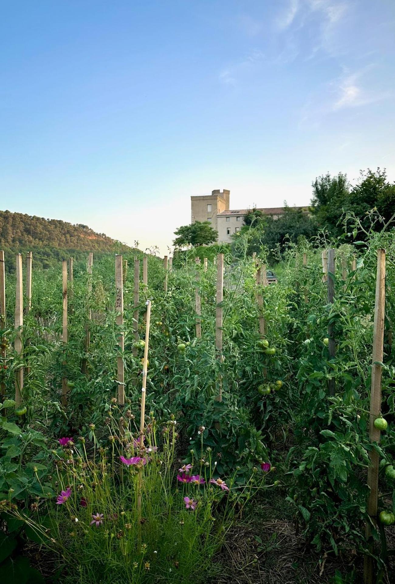 Domaine La Ferme Hi Bride Bed & Breakfast Villelaure Exterior photo